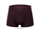 Herren-Boxershorts aus Bambus 11