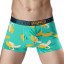 Herren-Boxershorts – Exotische Frucht 8