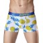 Herren-Boxershorts – Exotische Frucht 9