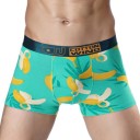 Herren-Boxershorts – Exotische Frucht 8