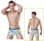 Herren-Boxershorts – Exotische Frucht 2