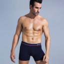 Herren-Boxershorts Fred 13