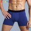 Herren-Boxershorts Fred 1