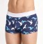 Herren-Boxershorts „George“. 9