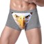 Herren-Boxershorts mit Adler J2637 1