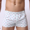 Herren-Boxershorts mit Aufdruck A1399 6