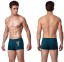 Herren-Boxershorts mit Drachen 10