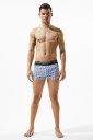 Herren gestreifte Shorts 2
