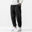 Herren-Jogginghose F1401 4