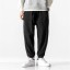 Herren-Jogginghose F1401 2