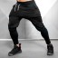 Herren-Jogginghose F1407 3