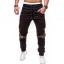 Herren-Jogginghose F1434 9