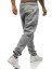 Herren-Jogginghose F1543 3