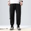 Herren-Jogginghose F1599 2