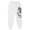 Herren-Jogginghose mit Drachen F1620 3