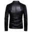 Herren-Lederjacke F1230 2