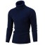 Herren-Rollkragenpullover F169 3