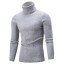 Herren-Rollkragenpullover F169 6