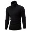 Herren-Rollkragenpullover F169 1