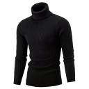 Herren-Rollkragenpullover F169 2