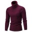 Herren-Rollkragenpullover F169 4