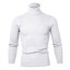 Herren-Rollkragenpullover F169 2