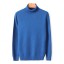 Herren-Rollkragenpullover F170 9