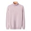 Herren-Rollkragenpullover F170 10