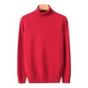 Herren-Rollkragenpullover F170 8