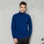 Herren-Rollkragenpullover F170 2