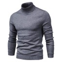 Herren-Rollkragenpullover F171 10