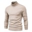 Herren-Rollkragenpullover F171 9