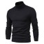 Herren-Rollkragenpullover F171 4