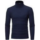 Herren-Rollkragenpullover F172 6