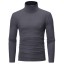 Herren-Rollkragenpullover F172 7