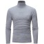 Herren-Rollkragenpullover F172 8