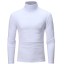 Herren-Rollkragenpullover F172 4