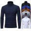 Herren-Rollkragenpullover F172 1