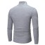 Herren-Rollkragenpullover F172 2