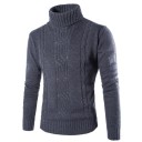 Herren-Rollkragenpullover F21 5