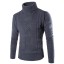 Herren-Rollkragenpullover F21 5