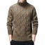 Herren-Rollkragenpullover F213 4