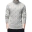 Herren-Rollkragenpullover F213 5