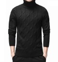 Herren-Rollkragenpullover F213 2