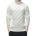 Herren-Rollkragenpullover F213 3