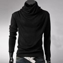 Herren-Rollkragenpullover F265 2