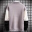 Herren-Rollkragenpullover F299 1