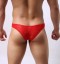 Herren-Slip aus Spitze 5