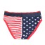 Herren-Slip USA 4