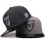 Herren-Snapback T247 1